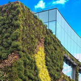 Sustainable Roofing System Design